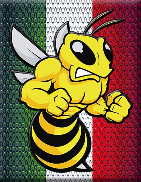 Vespa Amblem 316 / V-Sticker