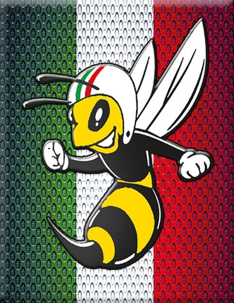Vespa Amblem 244 / V-Sticker