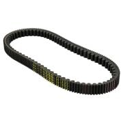 Varyatör Kayışı 835mm (6113027) / MALOSSI