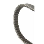Varyatör Kayışı 835mm (6113027) / MALOSSI